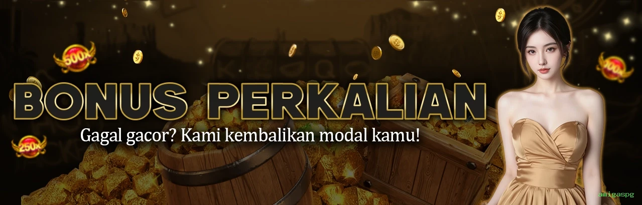 Login amigaspg